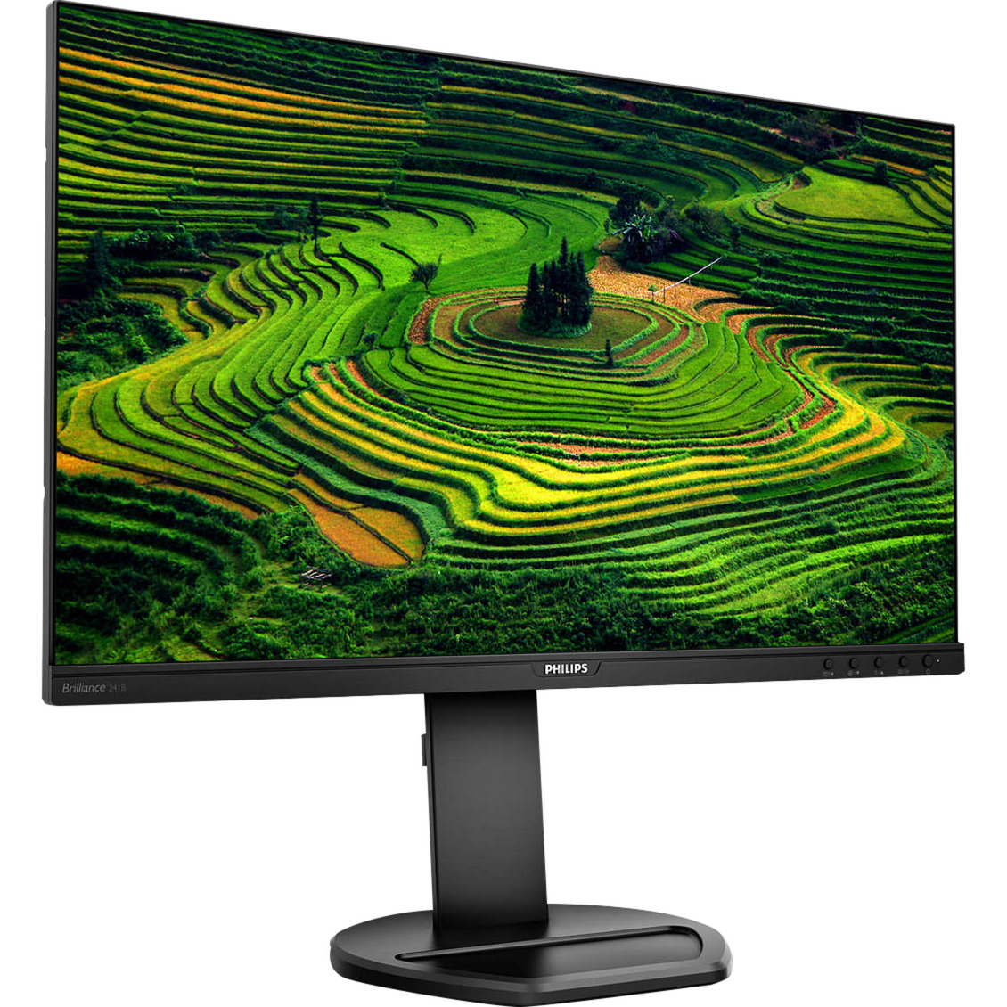 241B8QJEB/00, LED-Monitor