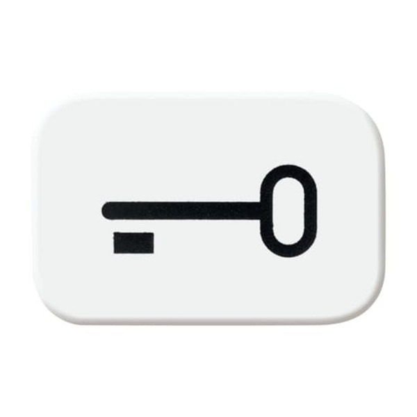 Tastersymbol ausschaltwippe 2525 TR-214, Schlüssel