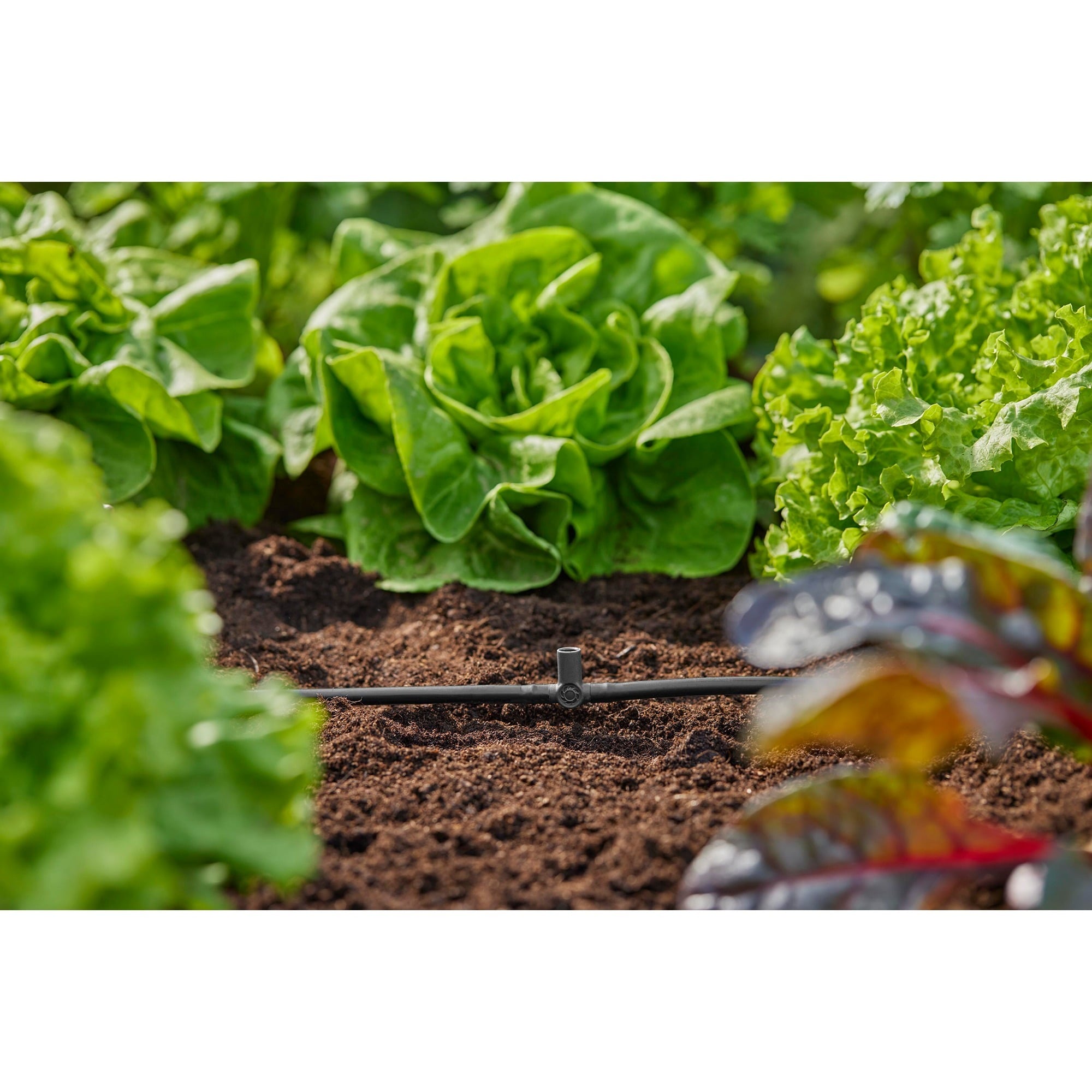 5 Stück Messing-Sprühdüsen 0,3 Mm Für Gartennebel-System
