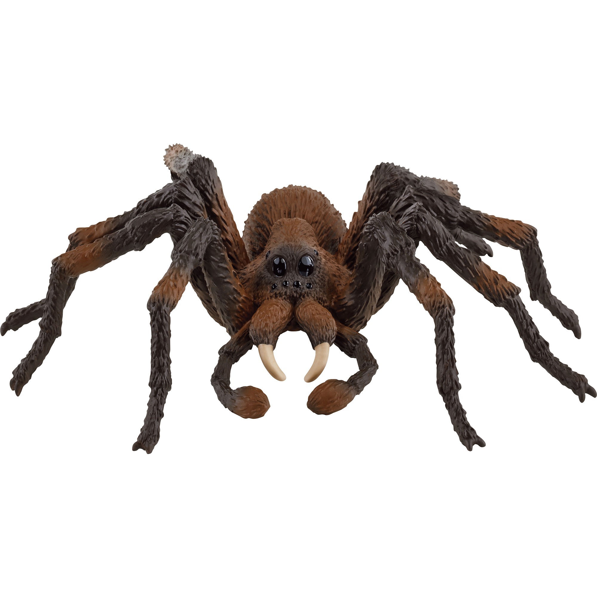 Schleich Wizarding World Harry Potter – Aragog, Spielfigur | 04059433713175 Schleich Wizarding World Harry Potter – Aragog, Spielfigur | 04059433713175