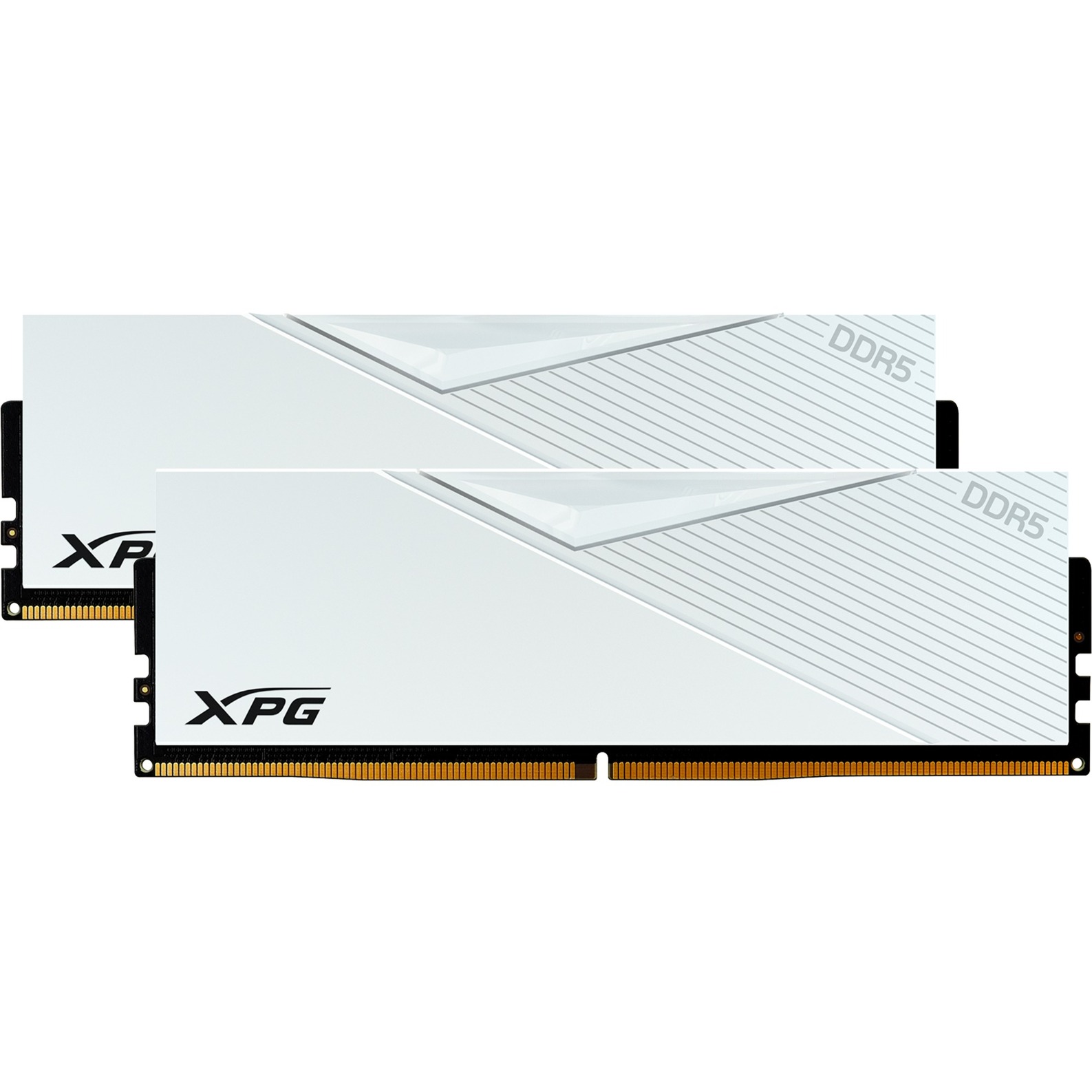 ADATA DIMM 64 GB DDR5-6400 (2x 32 GB) Dual-Kit, Arbeitsspeicher | 04711085943217 ADATA DIMM 64 GB DDR5-6400 (2x 32 GB) Dual-Kit, Arbeitsspeicher | 04711085943217
