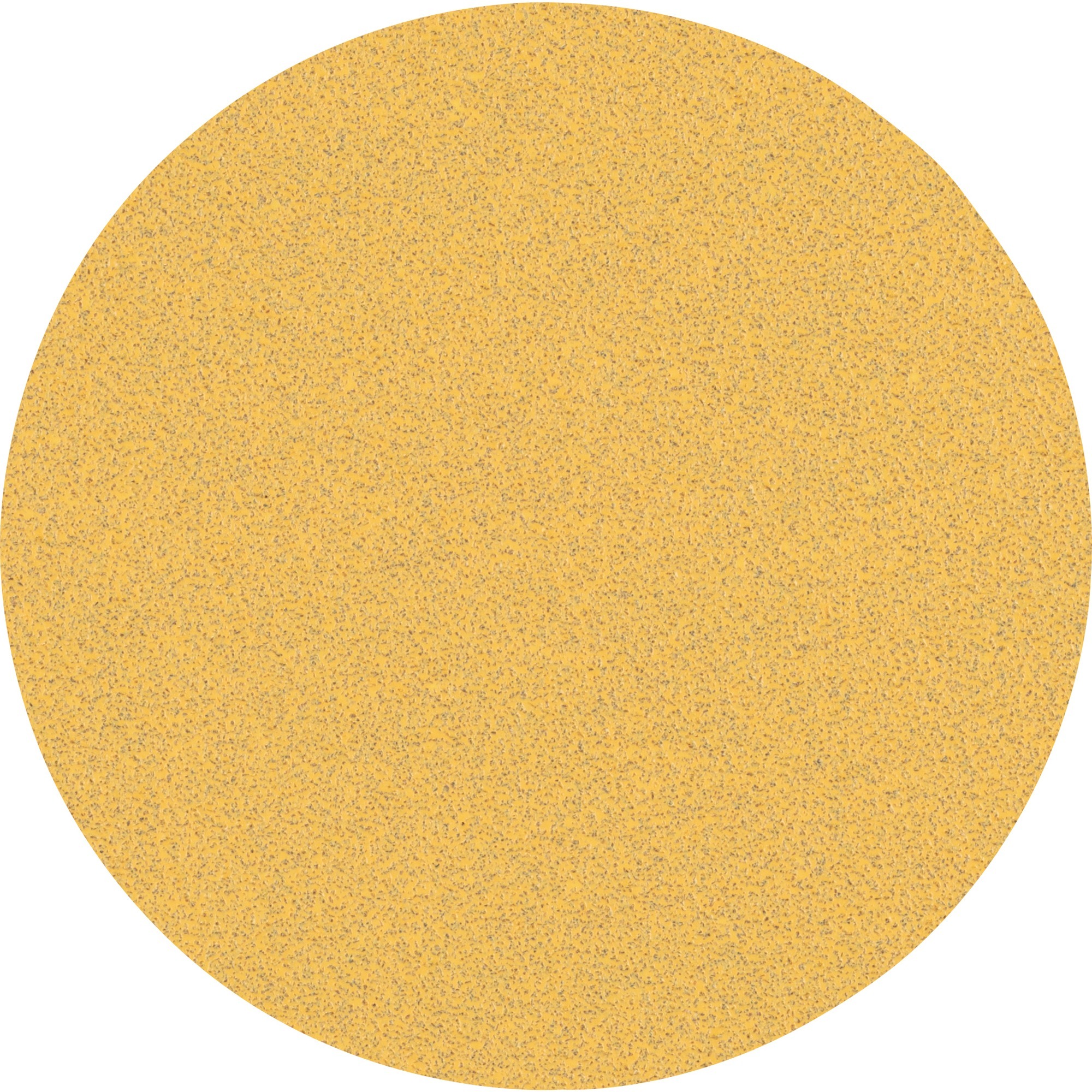 Expert C470 Schleifblatt, Ø 125mm, K80 ungelocht
