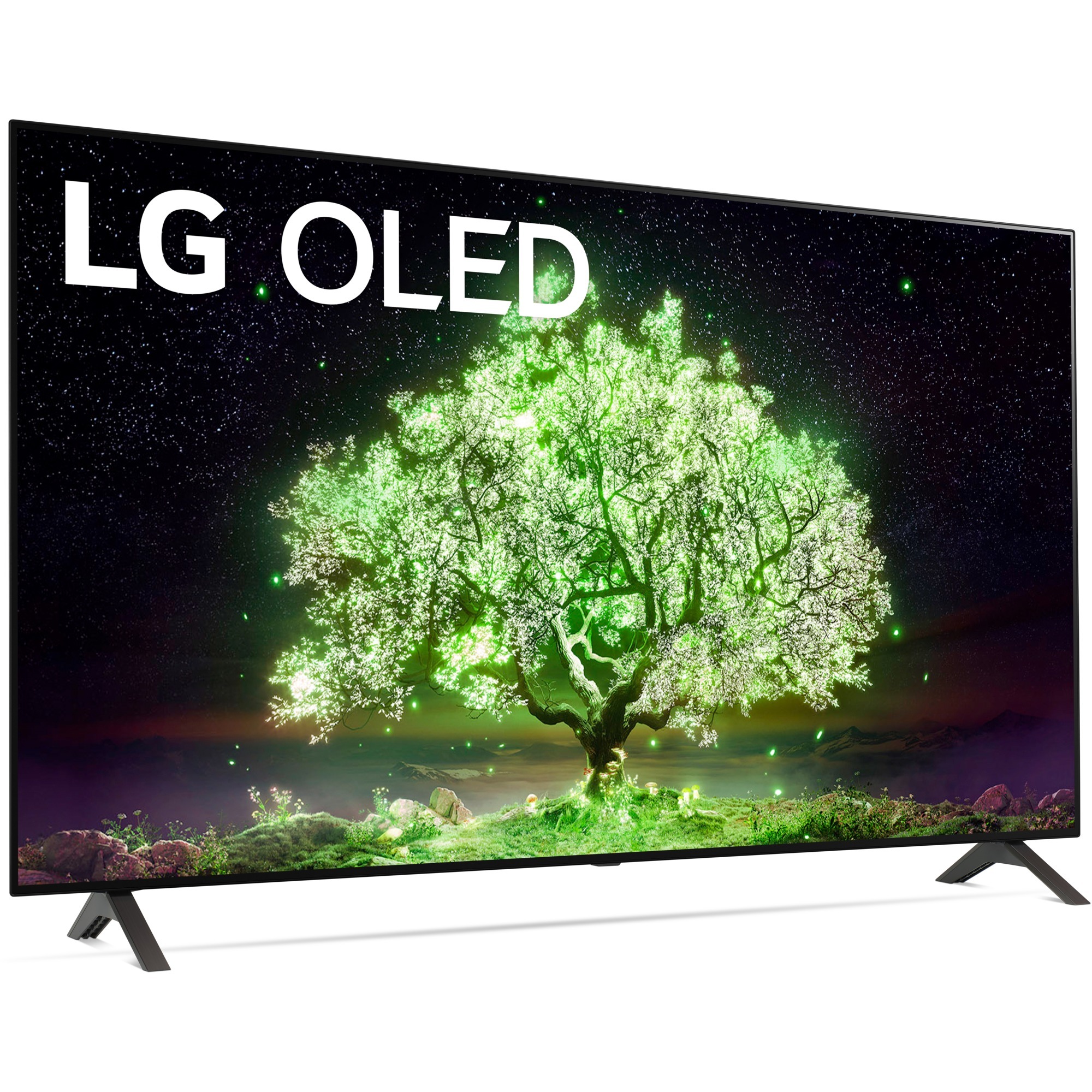 LG Electronics OLED55A19LA, OLED-Fernseher | 08806091266521