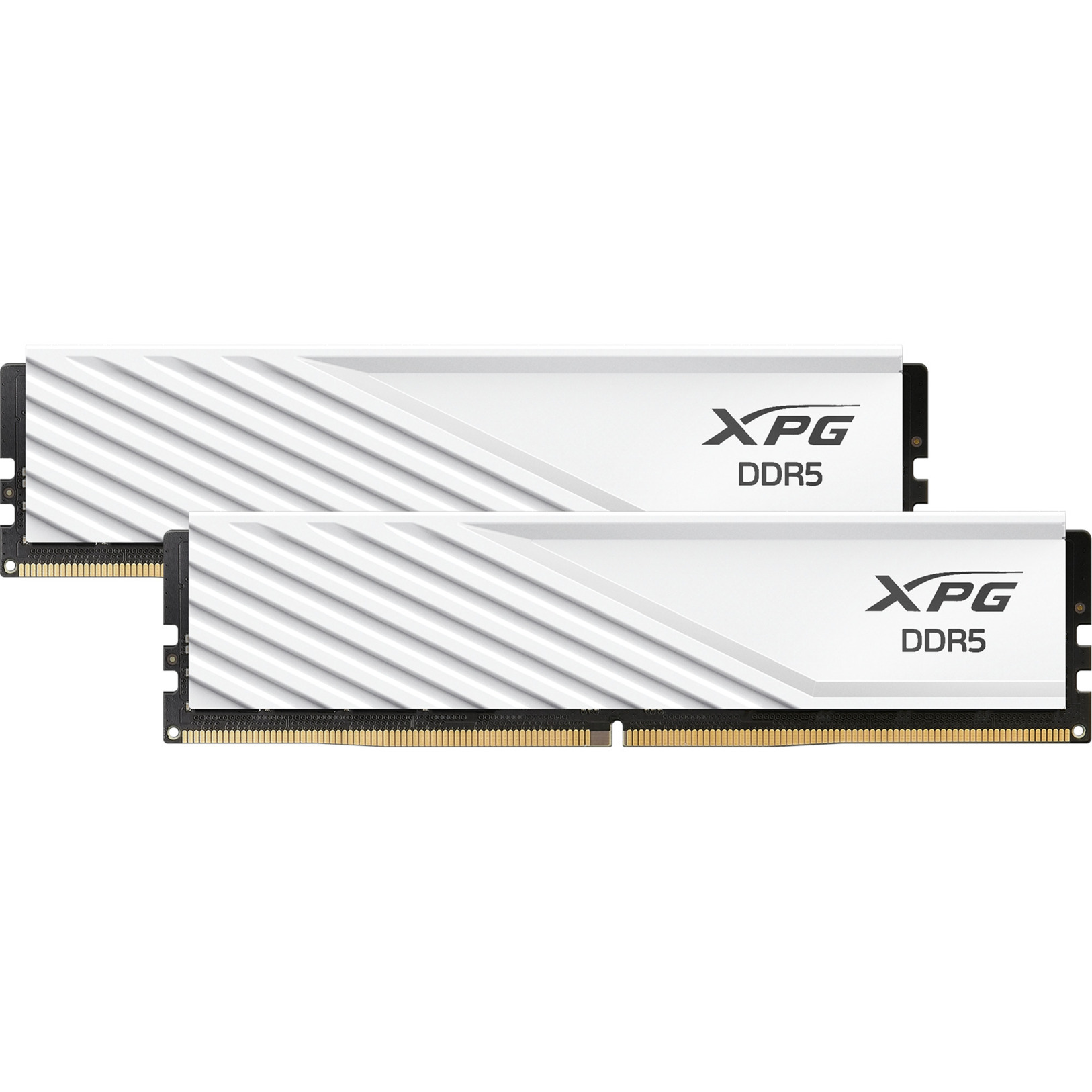 DIMM 32 GB DDR5-6000 (2x 16 GB) Dual-Kit, Arbeitsspeicher