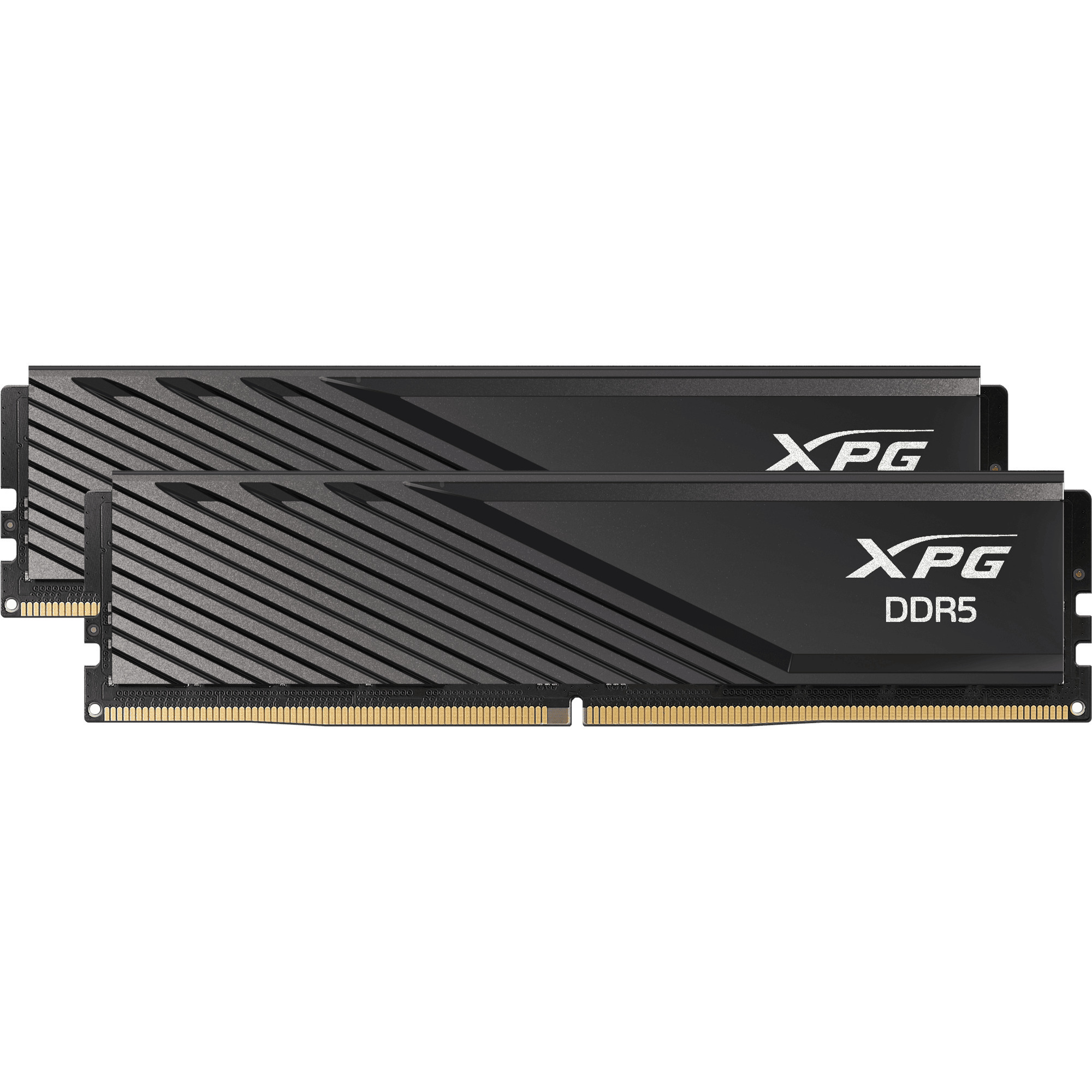 DIMM 32 GB DDR5-6000 (2x 16 GB) Dual-Kit, Arbeitsspeicher