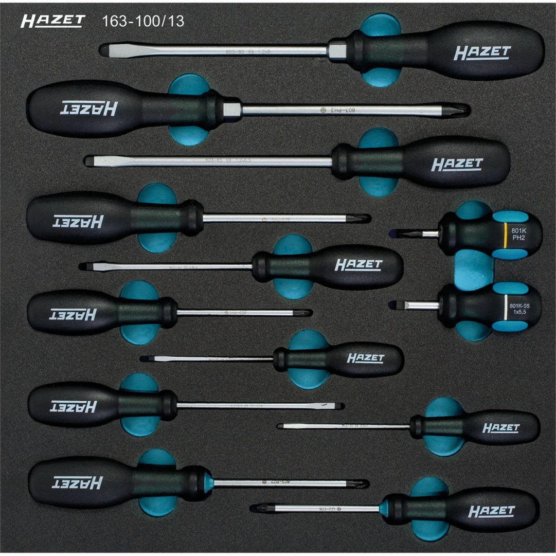 Hazet Schraubendreher-Satz 163-100/13, Werkzeug-Set | 04000896145713 Hazet Schraubendreher-Satz 163-100/13, Werkzeug-Set | 04000896145713