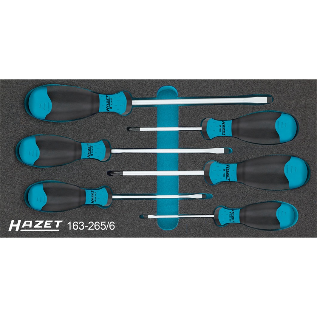 Hazet Schraubendreher-Satz 163-265/6, Werkzeug-Set | 04000896180608 Hazet Schraubendreher-Satz 163-265/6, Werkzeug-Set | 04000896180608