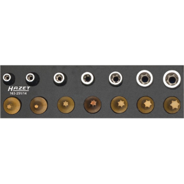 Hazet Werkzeug-Satz TORX® 163-251/14, Werkzeug-Set | 04000896178063 Hazet Werkzeug-Satz TORX® 163-251/14, Werkzeug-Set | 04000896178063