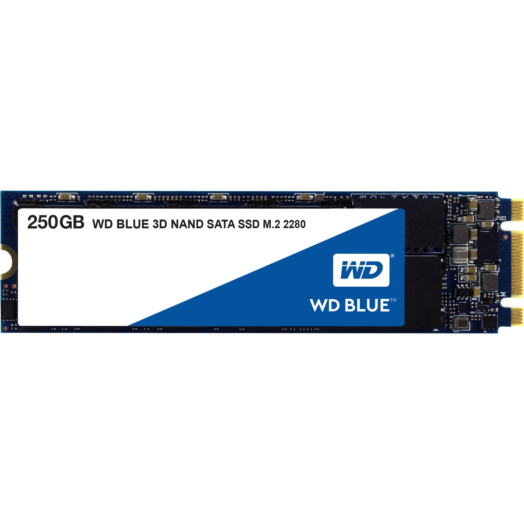 WD Blue 250 GB, SSD | 00718037856292 WD Blue 250 GB, SSD | 00718037856292