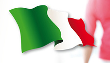 Mitarbeiter/in im Vertrieb (Deutsch/Italienisch) Mitarbeiter/in im Vertrieb (Deutsch/Italienisch)