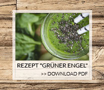 Rezept 'Grüner Engel' Rezept 'Grüner Engel'