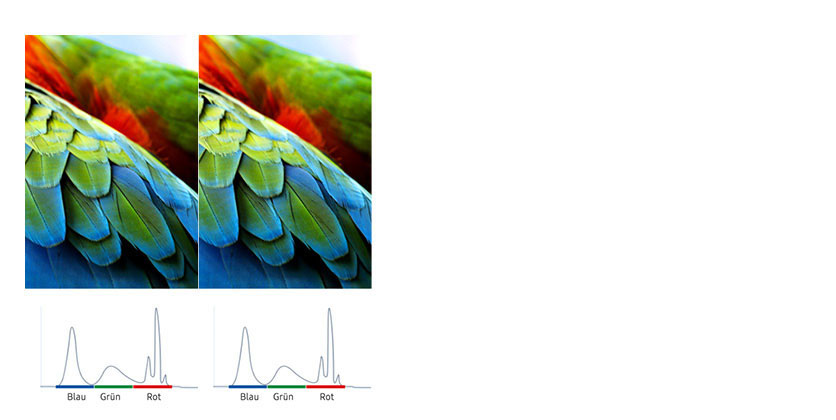 Active Crystal Color Active Crystal Color