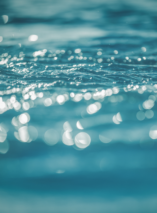 Wasser mit verschwommenen Vorder und Hintergrund. Der Bild Focus ist scharf Wasser mit verschwommenen Vorder und Hintergrund. Der Bild Focus ist scharf