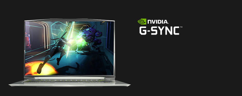 G-SYNC™ G-SYNC™