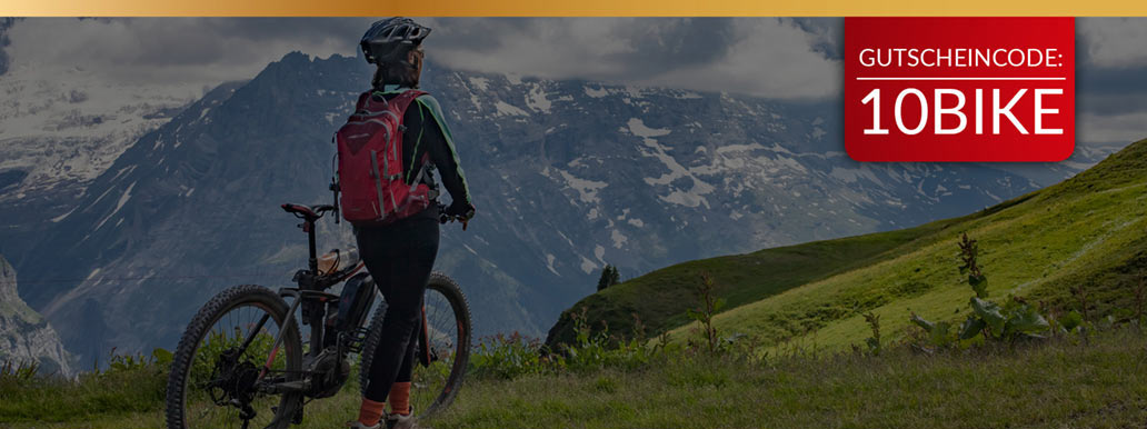 e-bikes e-bikes