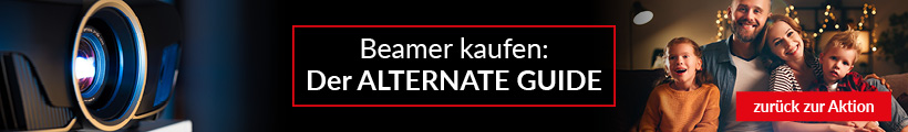 Info Hilfe Beamerkauf