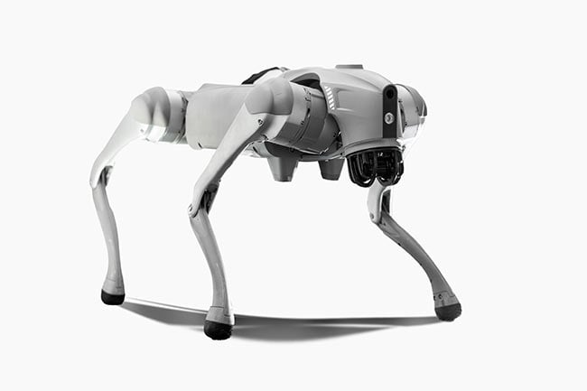 Vierbeiniger Roboterhund als Beispiel für moderne Robotik