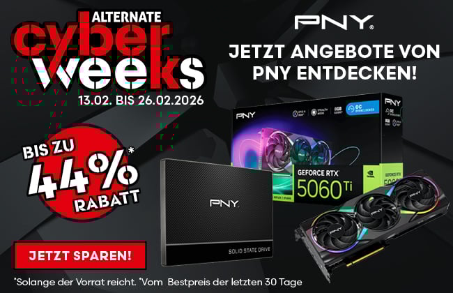 PNY Cyber Weeks Basic Paket