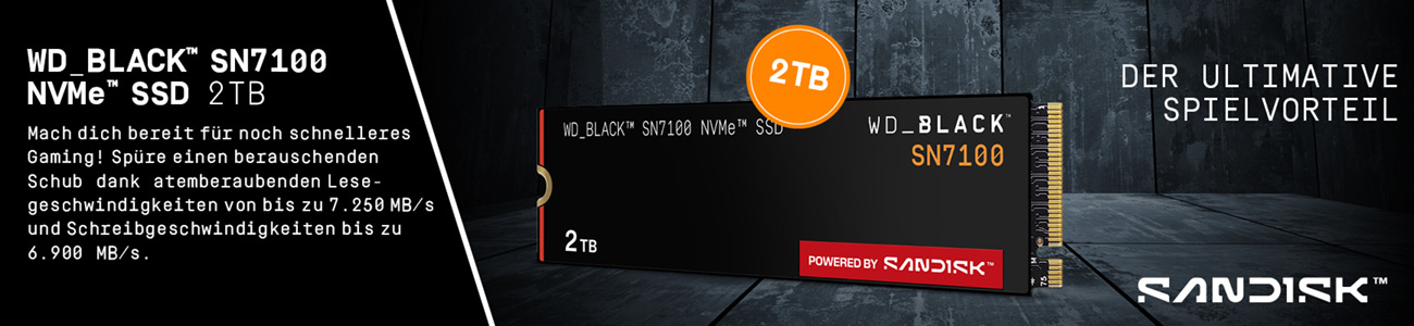 SanDisk Stageteaser PC Builder SSD Kategorie