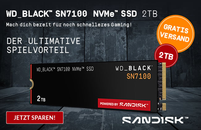 SanDisk - Der ultimative Spielvorteil