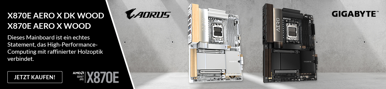 X870E AERO X3D WOOD