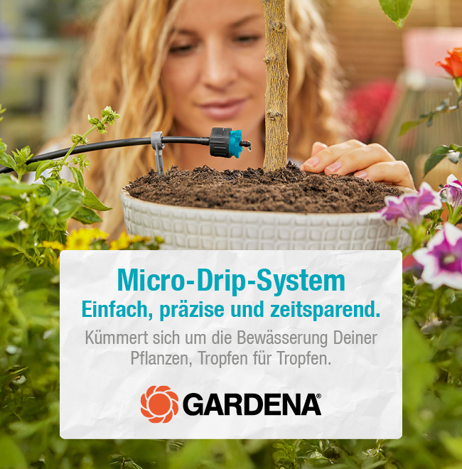 Micro-Drip-System