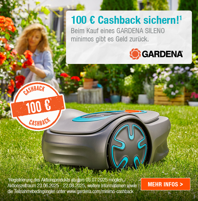 100 € Cashback sichern